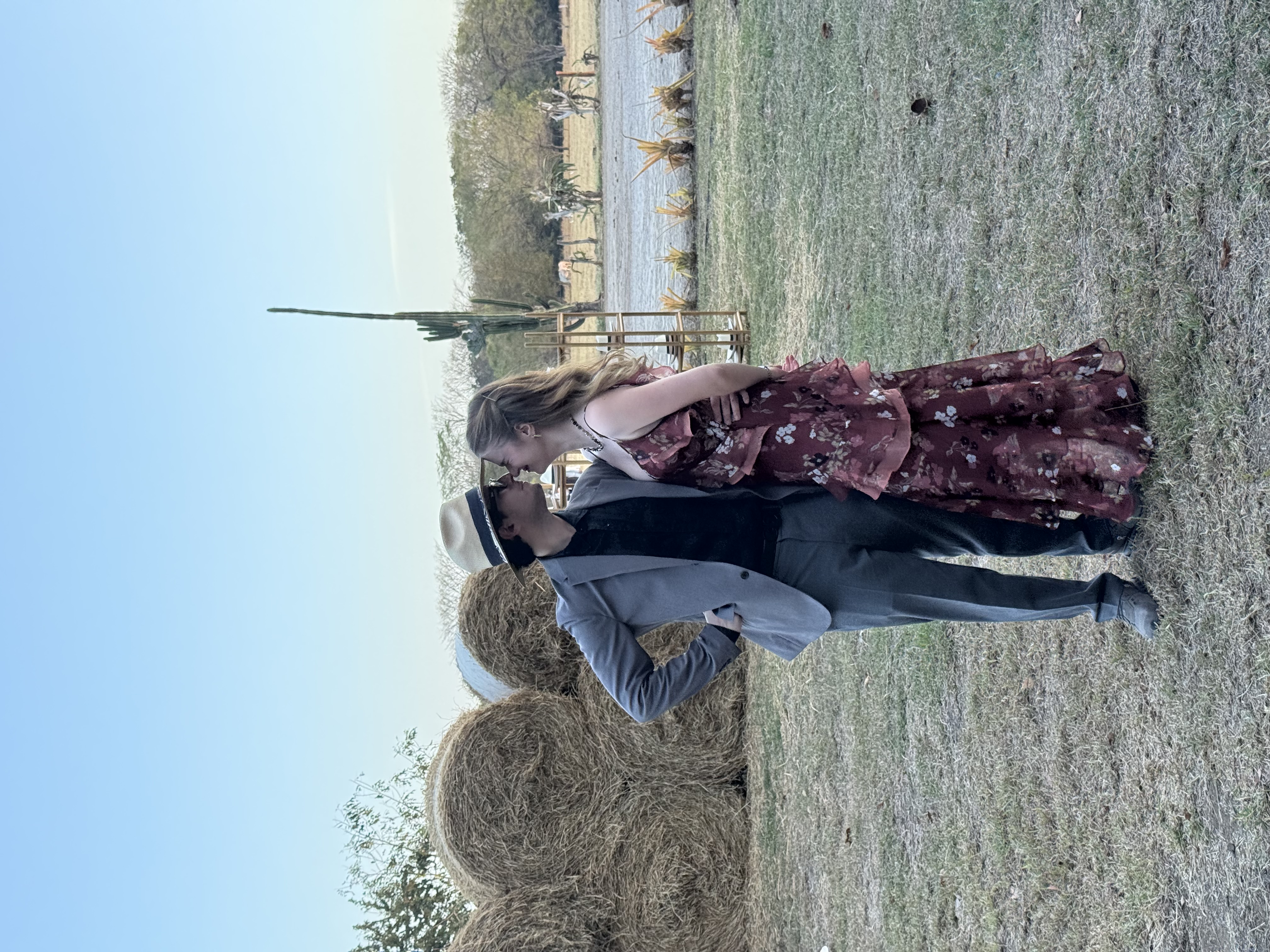 Bodas